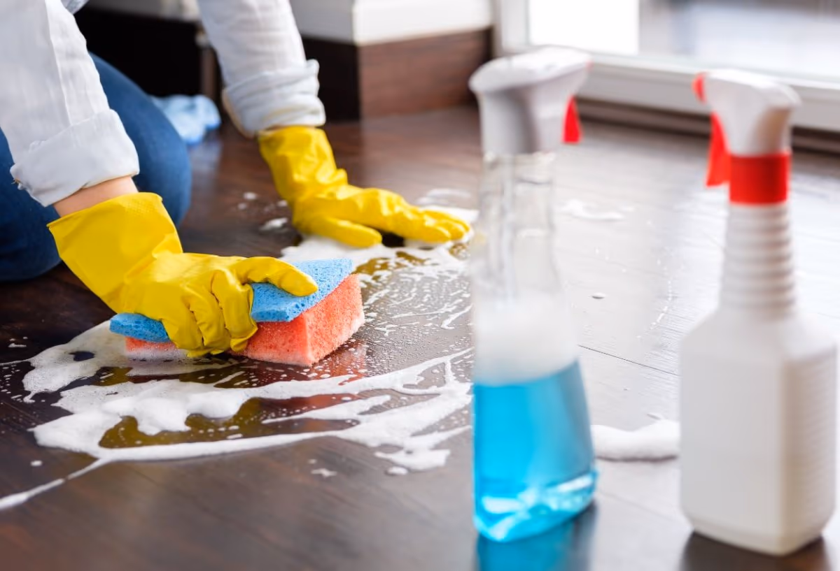 Bright clean home prepared for a fortnightly service